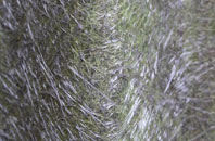 Ratby fibreglass roof work